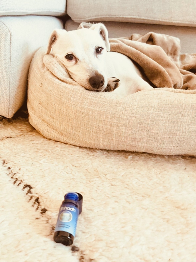 Aromathérapie intuitive