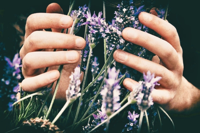 Consultation Fleurs de Bach